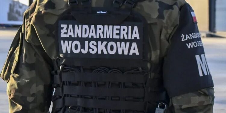 У Польщі за 20 км від кордону з рф виявили розвідувальний дрон