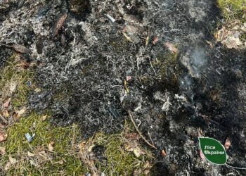 Внаслідок атаки рф через уламки дрона на Житомирщині сталася лісова пожежа – "Ліси України"