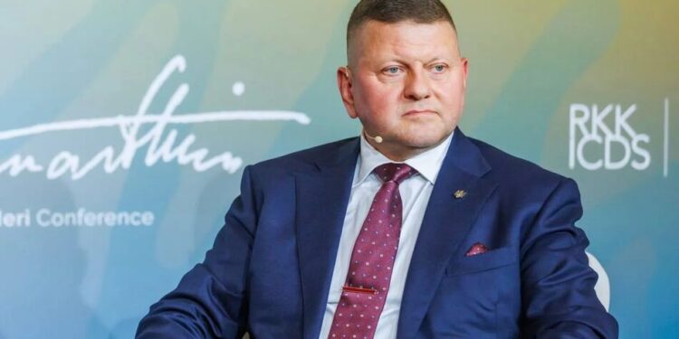 Світовий порядок більше не працює – Залужний закликав до нових безпекових рішень