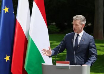 Мадяр заявив про право України захищатися і виступив за сильніші за Будапештський меморандум гарантії