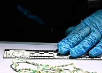 На Буковині свекор задушив 21-річну невістку, а потім разом із cином закопав її на городі. Чоловіків відправили під варту