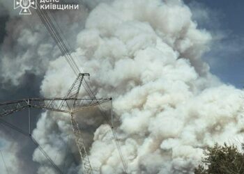 Радіаційний фон в нормі на тлі масштабної пожежі в Чорнобильській зоні – МВС
