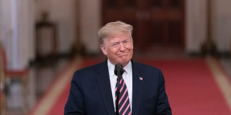 Трамп з родиною та бізнесом отримали імунітет від податкових перевірок – NYT