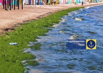 Азовське море у травні аномально зацвіло та почало викидати водорості на узбережжя – Андрющенко
