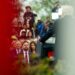 Венс заявив, що передача росії збагаченого урану Ірану не входить до планів США