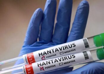 Хантавірус із круїзного лайнера дістався Європи. Нідерланди відправили лікарів на карантин