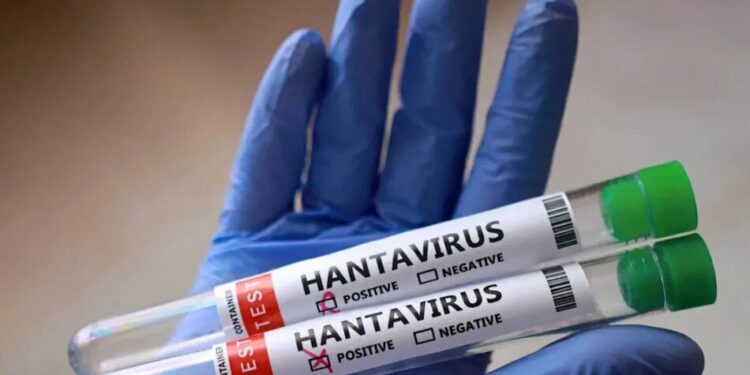 Хантавірус із круїзного лайнера дістався Європи. Нідерланди відправили лікарів на карантин