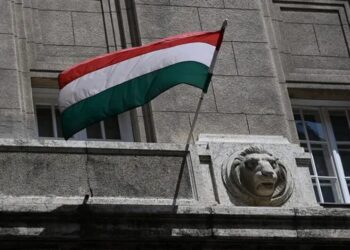 російського посла викликали до МЗС Угорщини через удари по Закарпаттю
