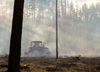 В Україні збитки від лісових пожеж з початку повномасштабної війни перевищили 1 трлн грн