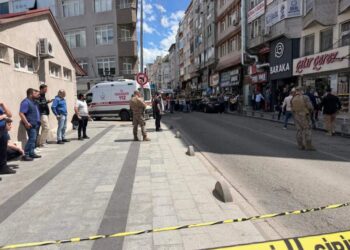 У Туреччині під час перестрілки загинули двоє поліцейських
