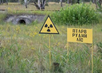Радіаційний стан в Україні залишається в межах норми – МВС