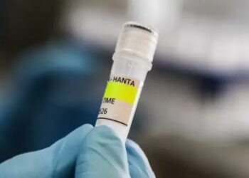 У ЦГЗ назвали, що може допомогти убезпечитися від хантавірусу