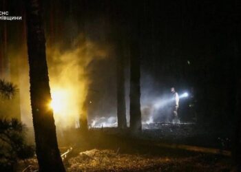 Масштабно лісова пожежа на Київщині: перевищення шкідливих речовин у повітрі не зафіксовано
