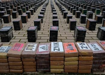 Іспанська поліція конфіскувала 30 тонн кокаїну в ході найбільшої в Європі операції
