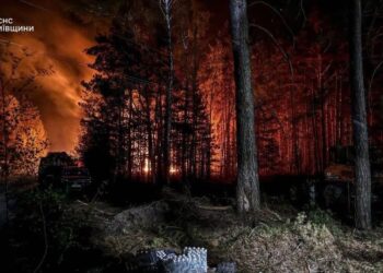 У Зоні відчуження триває ліквідація масштабної лісової пожежі, вогнем пройдено 1200 га