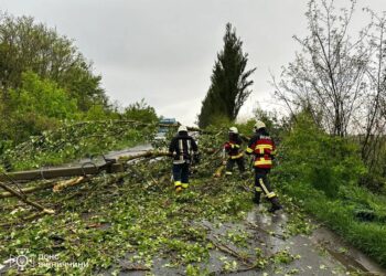 Повалені дерева та заблоковані дороги – негода охопила низку областей України