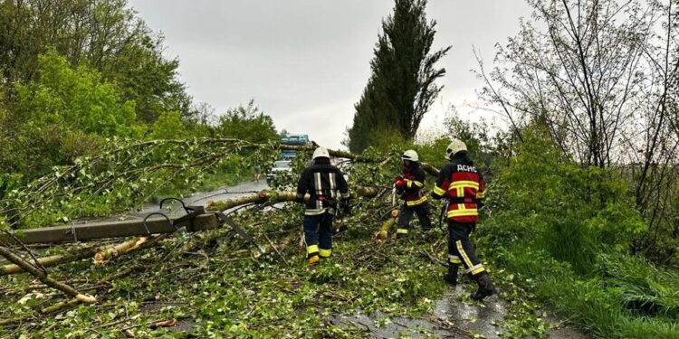 Повалені дерева та заблоковані дороги – негода охопила низку областей України