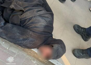 У Миколаєві чоловік вбив собаку та намагався втекти, його затримали патрульні