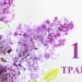 Що святкують 11 травня в Україні та світі