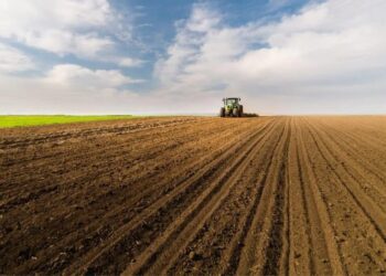 Посівна-2026 – в Україні вже засіяли ярими 43% запланованих полів