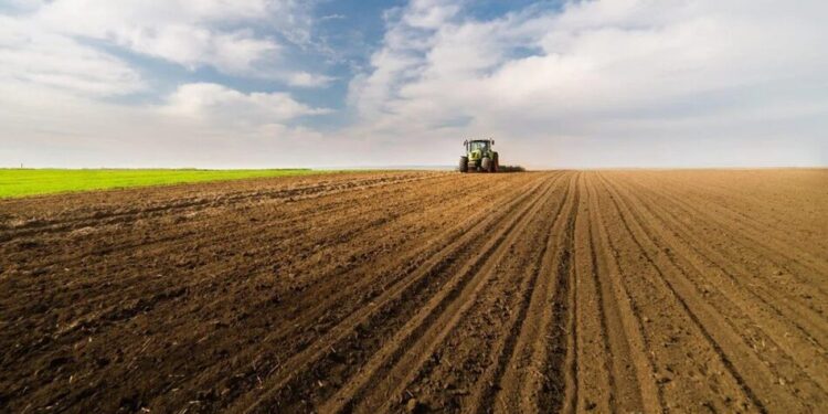 Посівна-2026 – в Україні вже засіяли ярими 43% запланованих полів