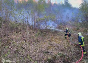 На Закарпатті спалахнула лісова пожежа, полум'я охопило 15 га