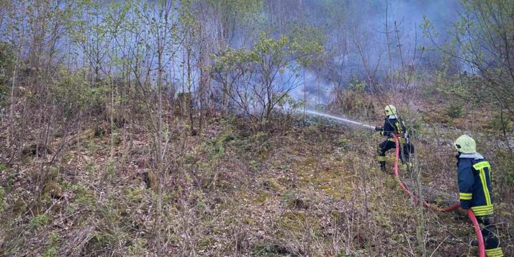 На Закарпатті спалахнула лісова пожежа, полум'я охопило 15 га