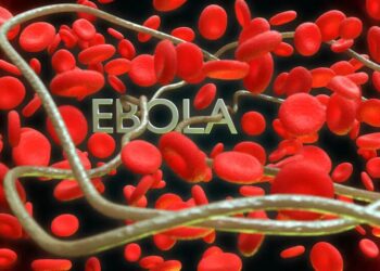 Вірус Ебола поширюється світом і вже спричинив сотні підозрілих смертей – ВООЗ
