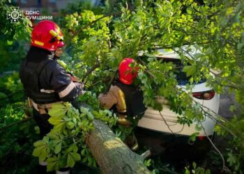 Негода прокотилася Україною – рятувальники ліквідовують наслідки у різних регіонах