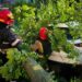 Негода прокотилася Україною – рятувальники ліквідовують наслідки у різних регіонах