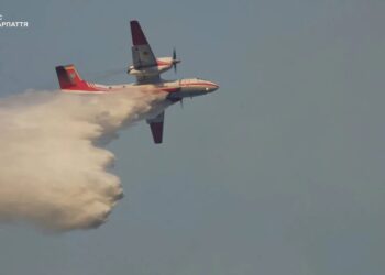 Масштабна пожежа на Закарпатті не вщухає – вогонь охопив вже 75 гектарів, триває авіагасіння