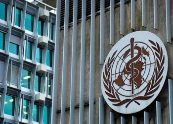 ВООЗ заявила, що хантавірус не мутував і не став заразнішим після спалаху на круїзному лайнері – ЗМІ