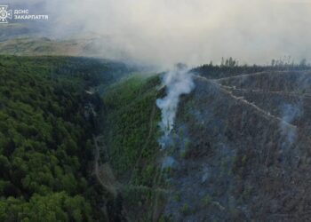 Масштабна лісова пожежа на Закарпатті триває, залучили вогнеборців з інших областей