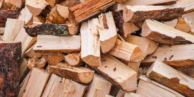В Україні різко зріс попит на дрова, продажі вдвічі перевищили показники 2025 року