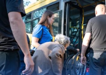 Гроші на житло та допомога дітям: нові умови підтримки для ВПО
