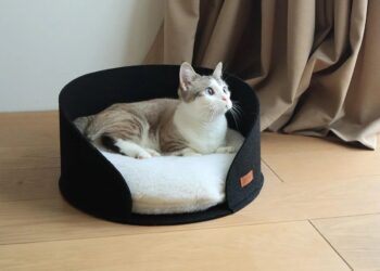 Какие лежаки предпочитают коты