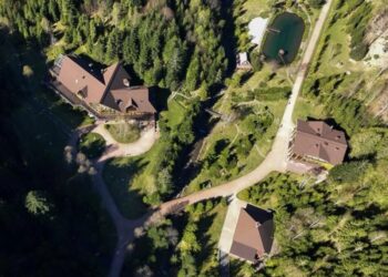 Дача Медведчука на 220 га державного лісу – шістьом посадовцям оголосили підозру