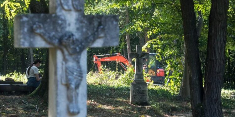 У Польщі заявили, що під час нового етапу пошуків у Пужниках не знайшли другої братської могили жертв УПА