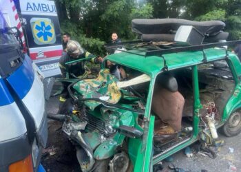 Авто, де перебувало шість дітей, потрапило у ДТП під Києвом: загинув дворічний малюк