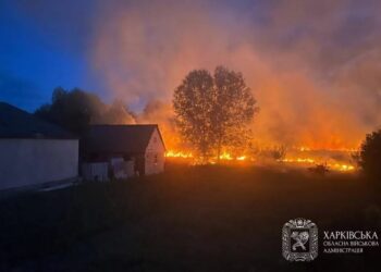 російська атака на Балаклію забрала життя жінки, пошкоджені будинки та магазин