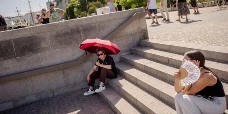 У Данії зафіксували найспекотніший день за понад 150 років спостережень