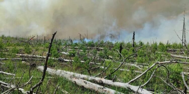 Пожежу в заповіднику на Житомирщині гасили чотири доби після атаки рф