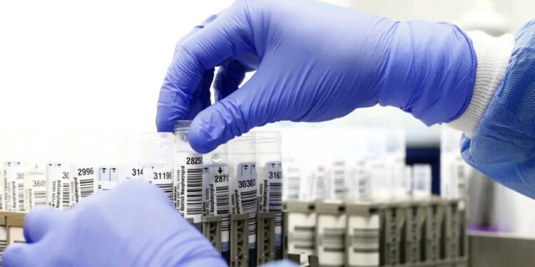 Директорка Нацрозвідки США Габбард заявила про американські "біолабораторії" по всьому світу, зокрема в Україні