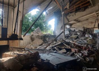 росіяни атакували кінну школу на Сумщині та вбили тварин