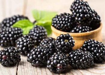 Ожина, яблука та зелений чай – вчені назвали найкращі продукти для здоров'я серця