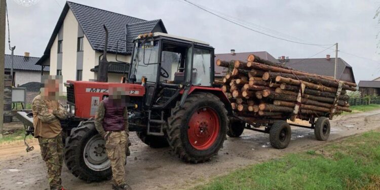 Незаконна рубка 13 тисяч дерев спричинила до чверті мільярда збитків, є 29 підозрюваних – Генпрокурор