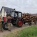 Незаконна рубка 13 тисяч дерев спричинила до чверті мільярда збитків, є 29 підозрюваних – Генпрокурор