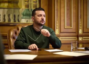 Зеленський виключив російську та молдовську мови з переліку захищених Європейською хартією