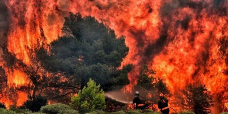 У Греції через масштабну лісову пожежу загинула людина, понад 100 пожежників стримують вогонь
