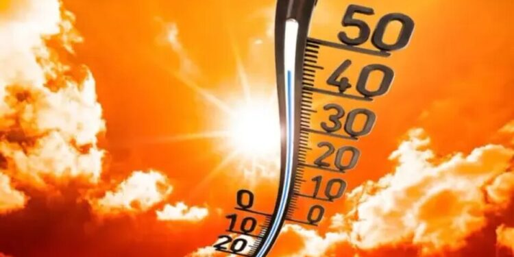До +31°С і короткочасні дощі – якою буде погода в Україні 22 червня